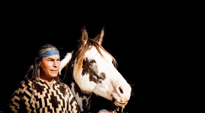 Projeto Influência Equitação Crioula