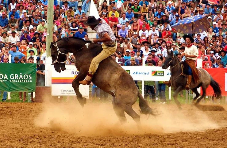 rodeio vacaria 2020