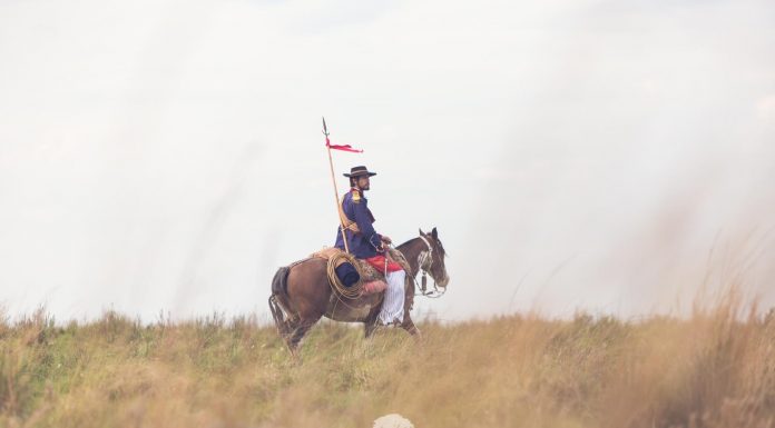Bento Gonçalves Influência