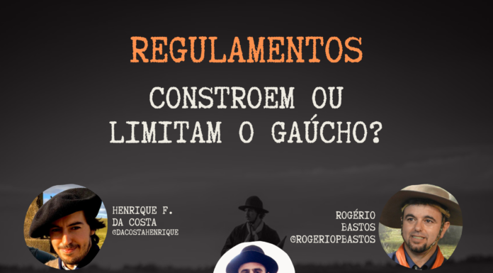 NETCHÊFLIX REGULAMENTOS